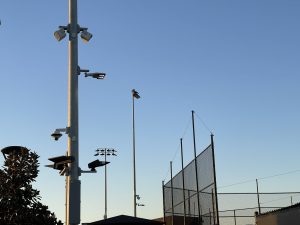 LaPuente Park