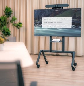 Entry-Level Cart-Based Conference Room Package – Neat – No Installation